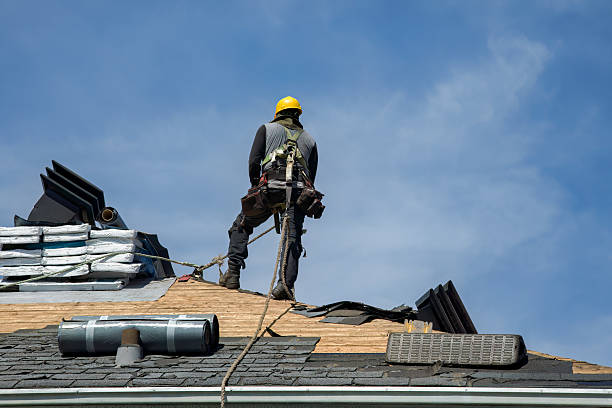 Professional Storm Damage Roof Repair technician working in Stendal, IN